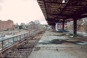 Blick auf verfallenen Bahnsteig des S-Bahnhofs Wernerwerk. Links ein zugewachsenes Gleis.