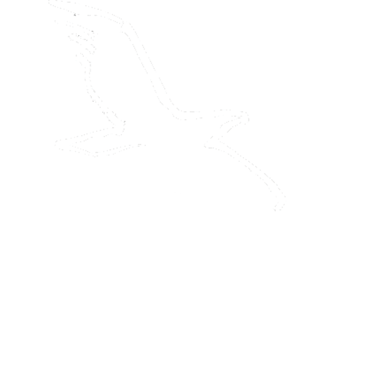 Logo Land Brandenburg Ministerium für Infrastruktur und Landesplanung